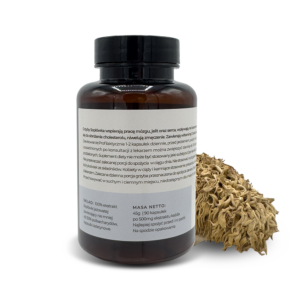 Grzyby Soplówka 90 kaps. 500mg