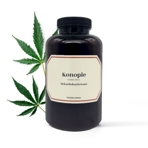 Herbata konopna