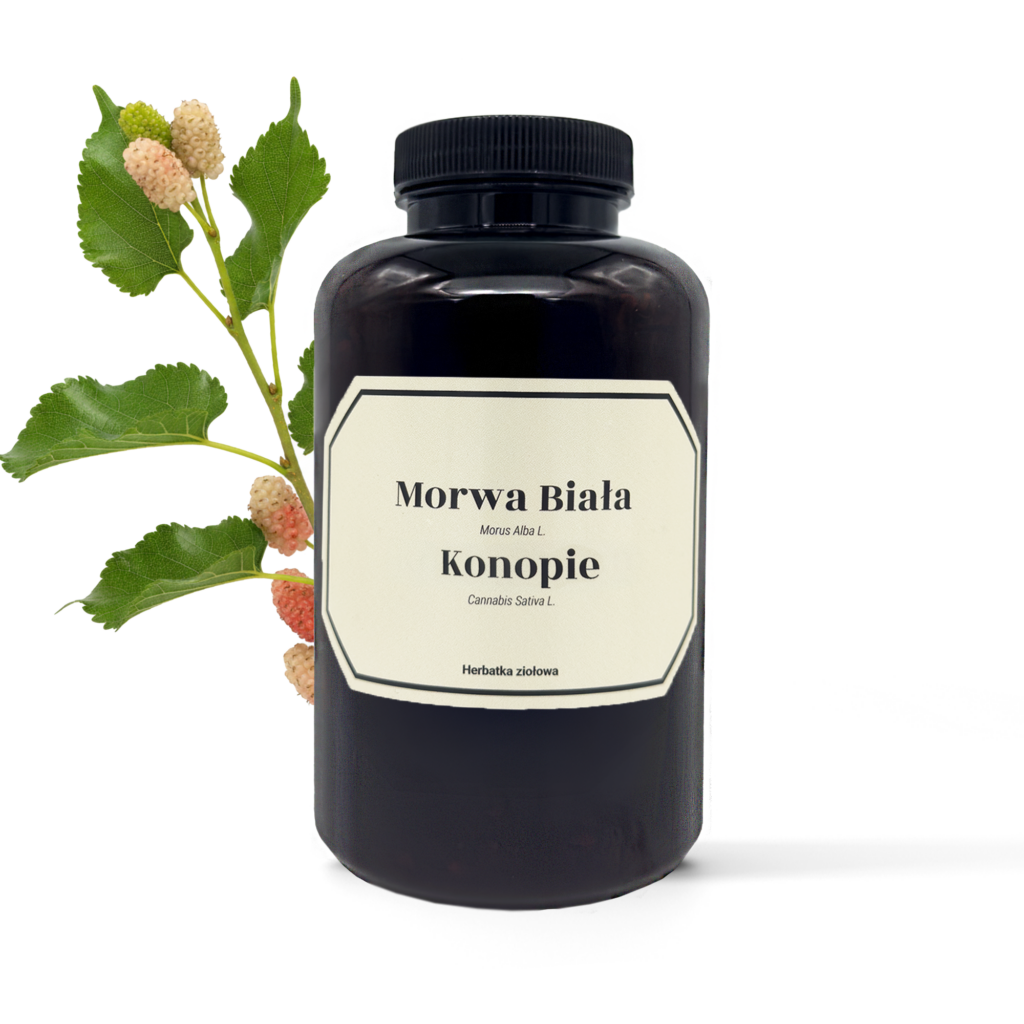 Herbata z morwy białej z konopią