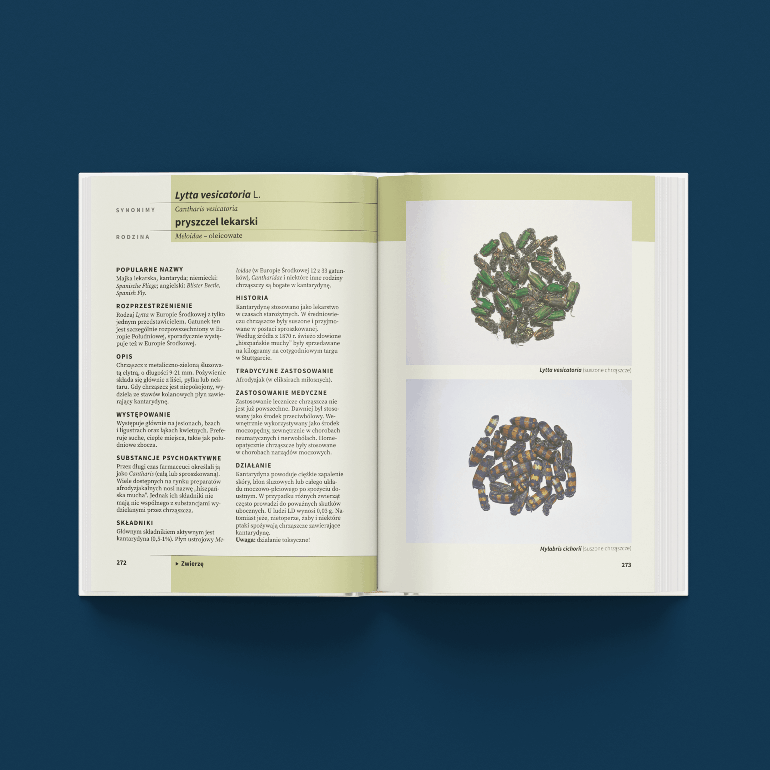 Psychoaktywne rośliny, grzyby i zwierzęta