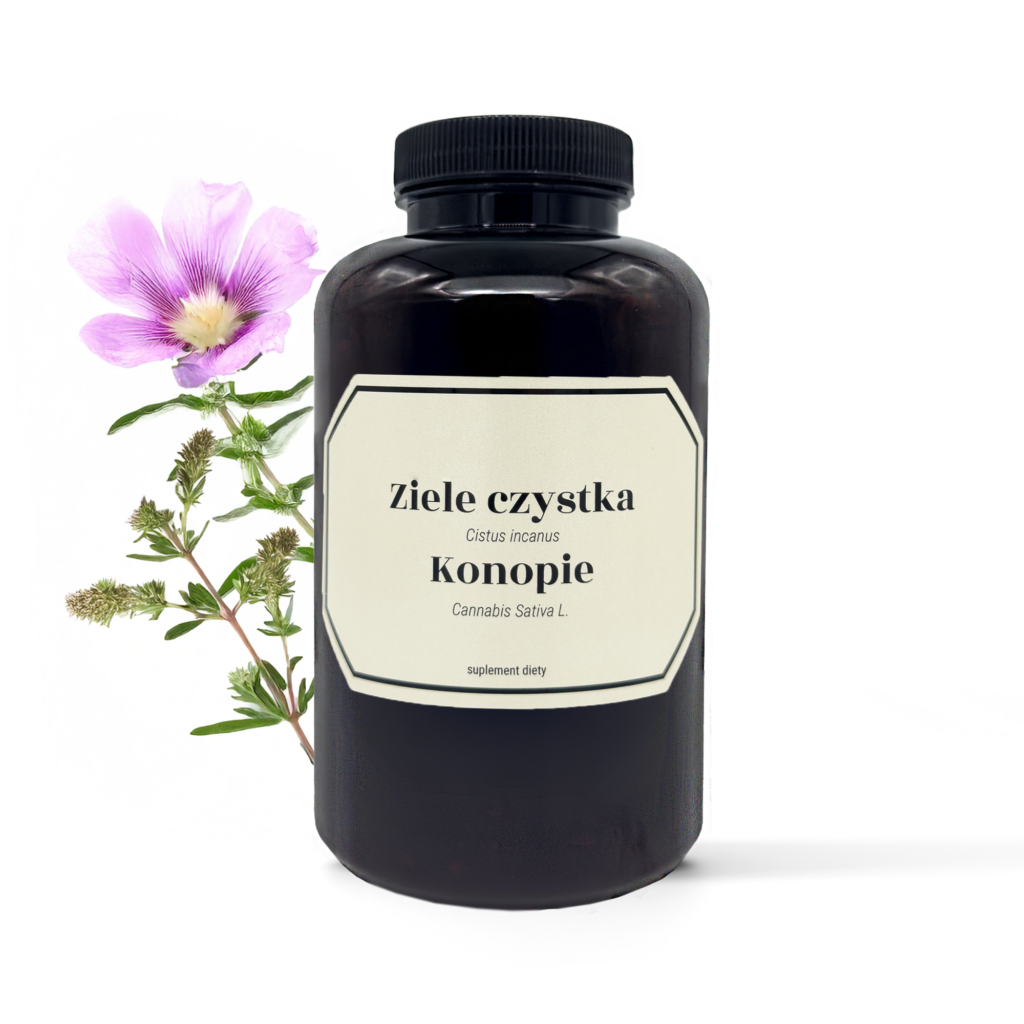 Czystek z konopiami