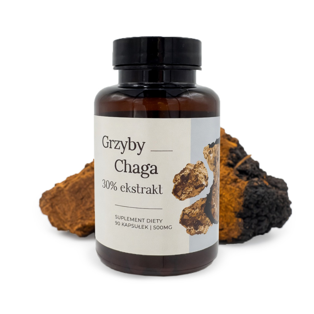 Chaga 90 kaps. 500 mg